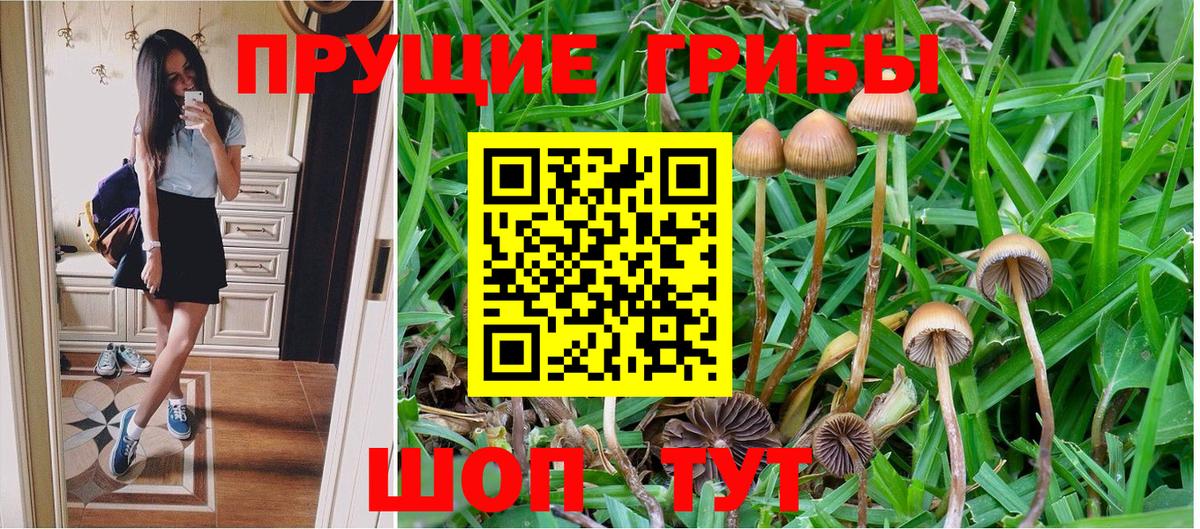 Псилоцибиновые грибы Magic Shrooms Мыски