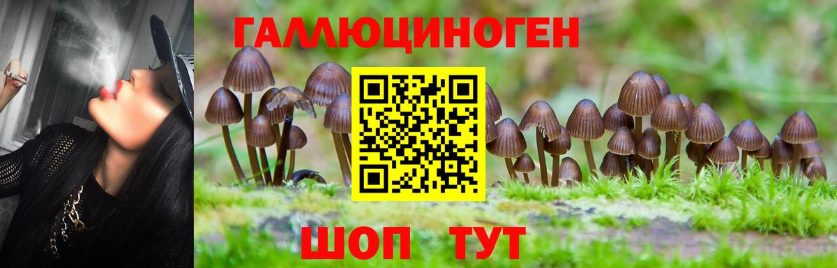Псилоцибиновые грибы прущие грибы  наркотики  Мыски  Вход с VPN 